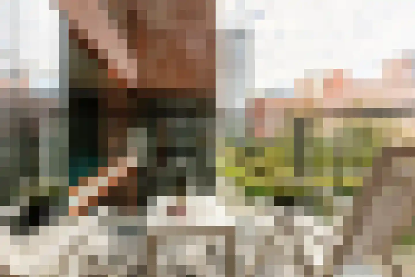 Koningslaan 207 Rotterdam thumbnail 18