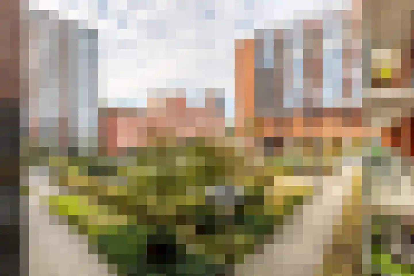 Koningslaan 207 Rotterdam thumbnail 20
