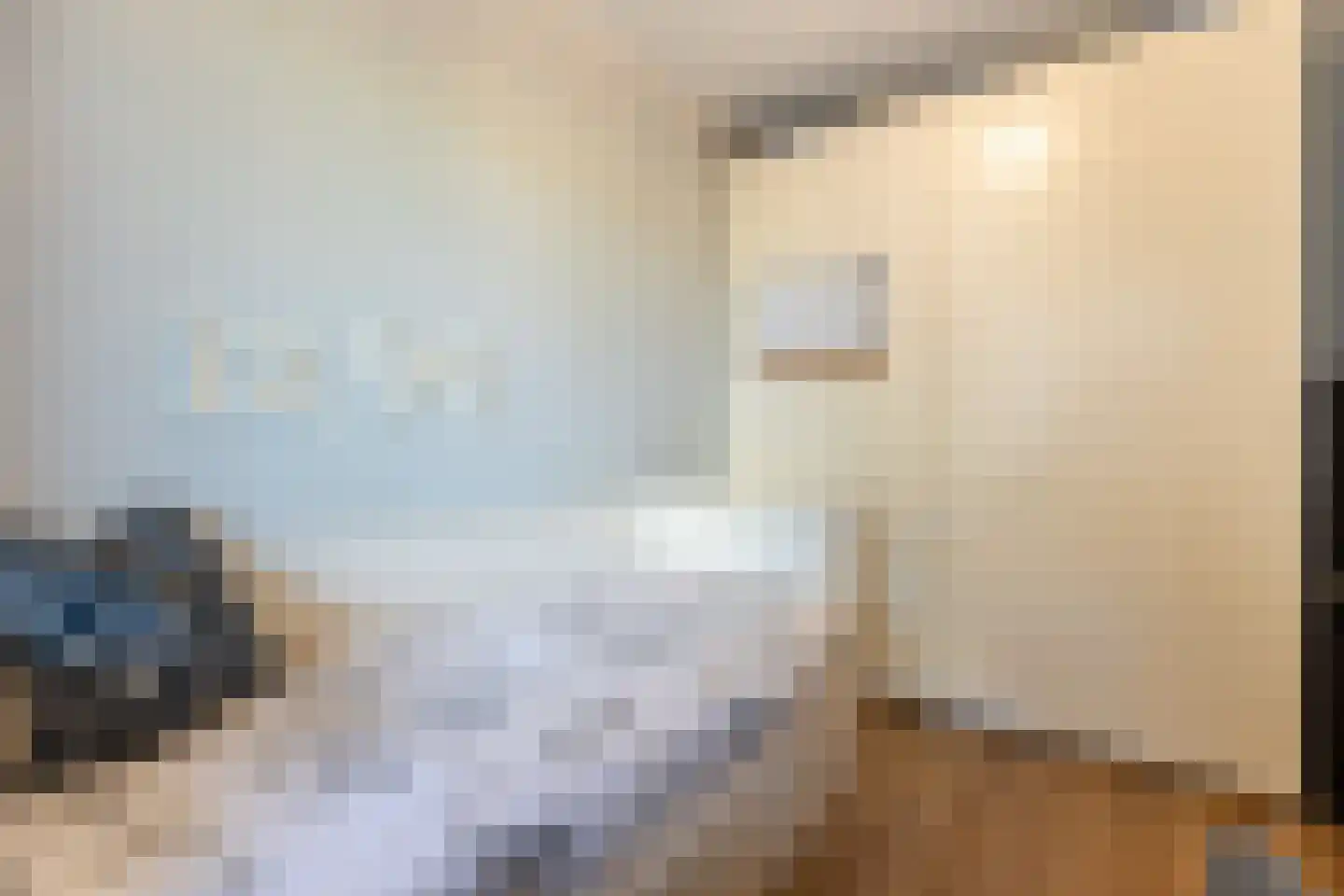 Koningslaan 207 Rotterdam thumbnail 25