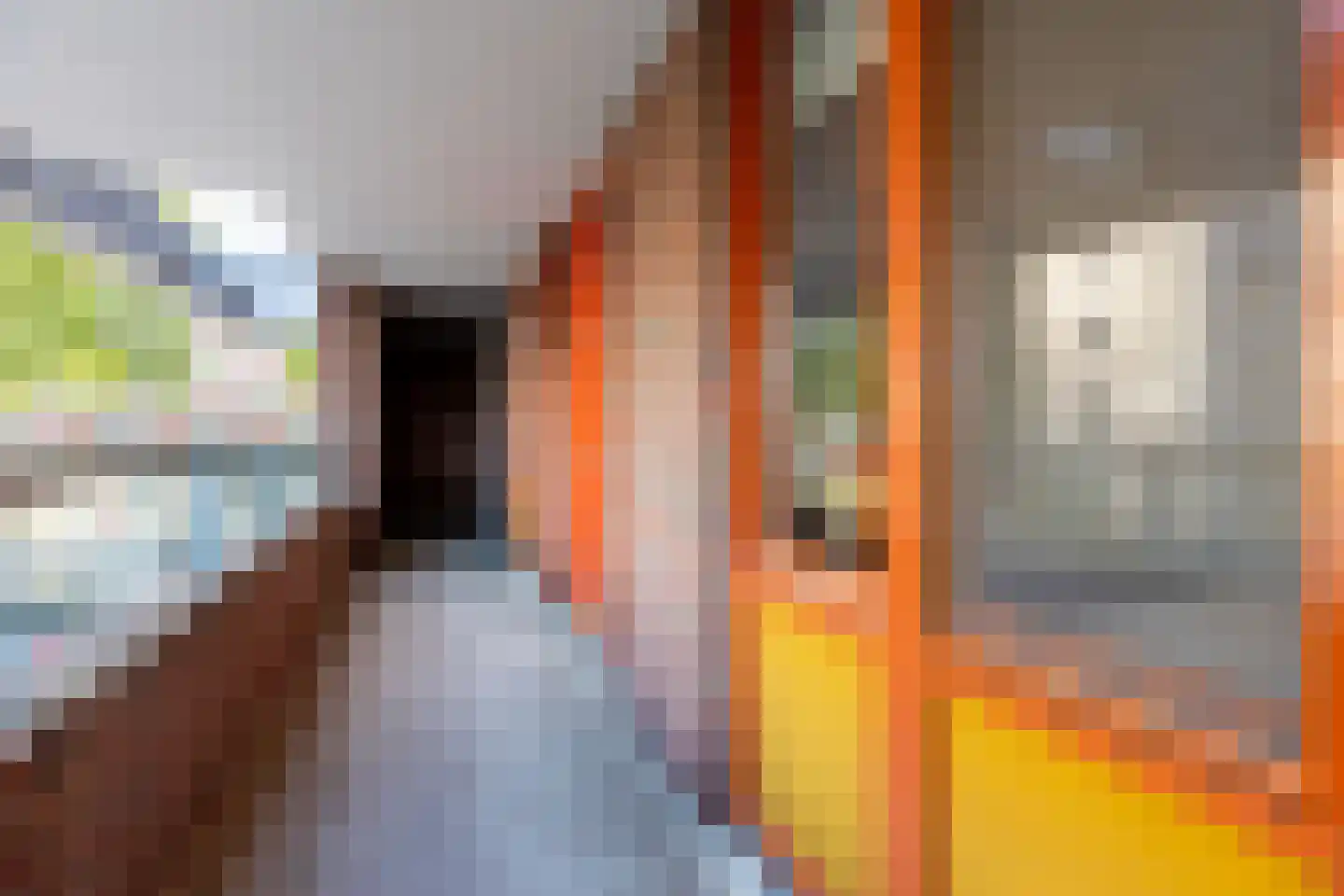 Koningslaan 207 Rotterdam thumbnail 29