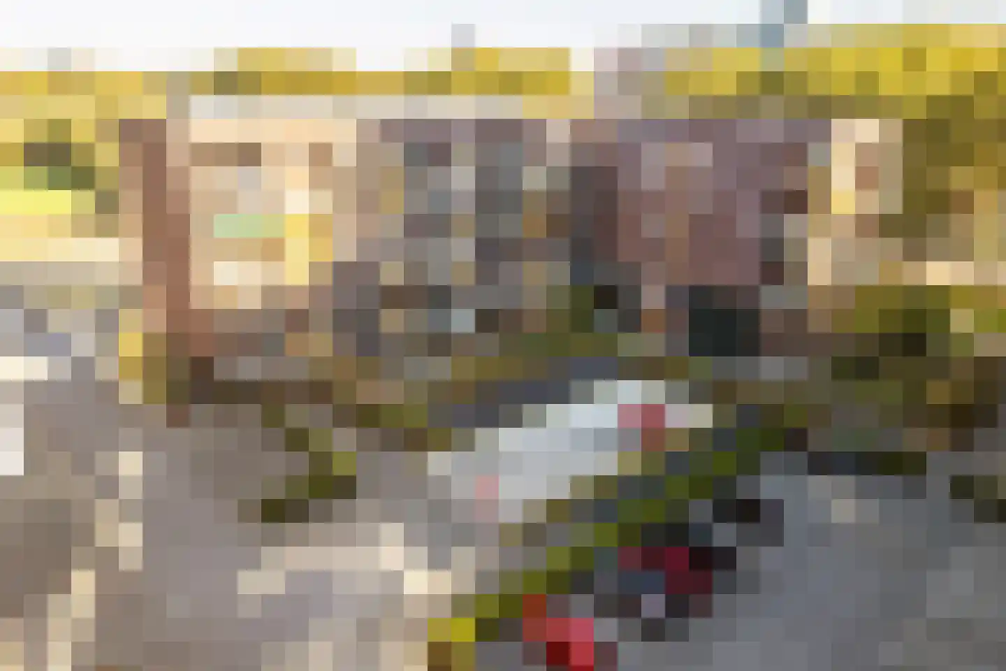 Koningslaan 207 Rotterdam thumbnail 34