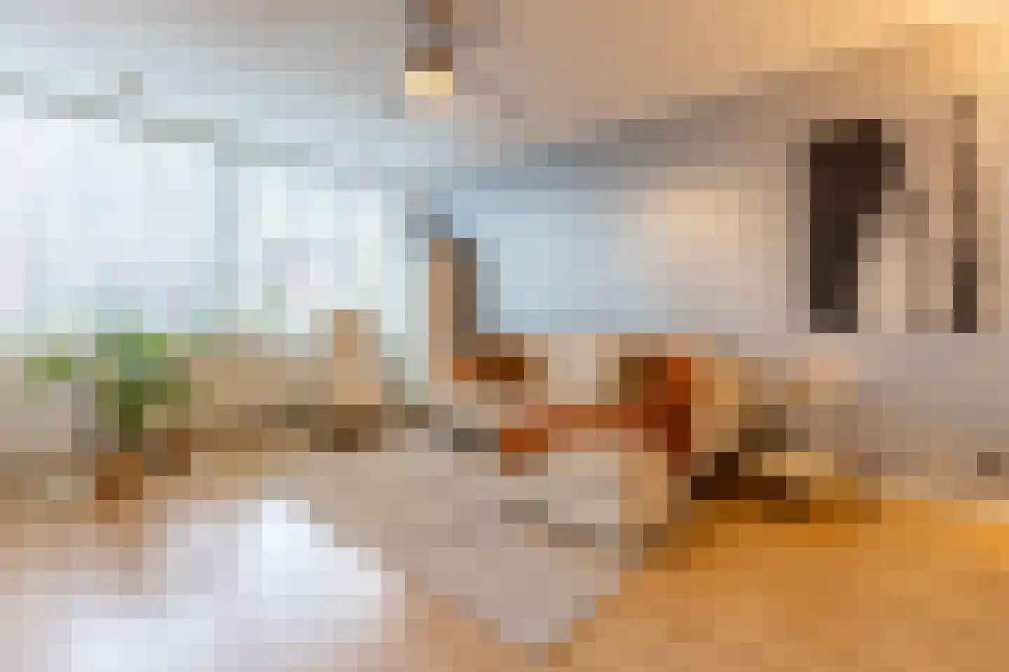 Koningslaan 207 Rotterdam thumbnail 4