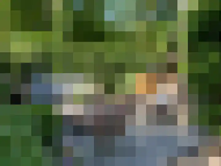 Koningslaan 21 A Bussum thumbnail 35