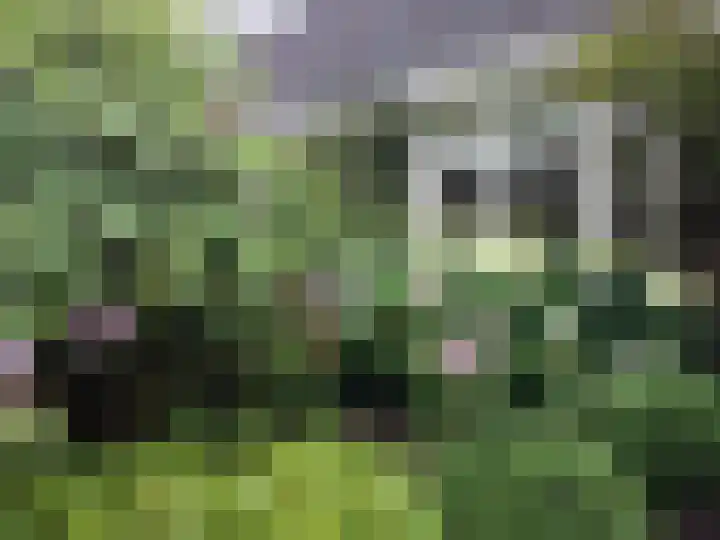 Koningslaan 21 A Bussum thumbnail 36