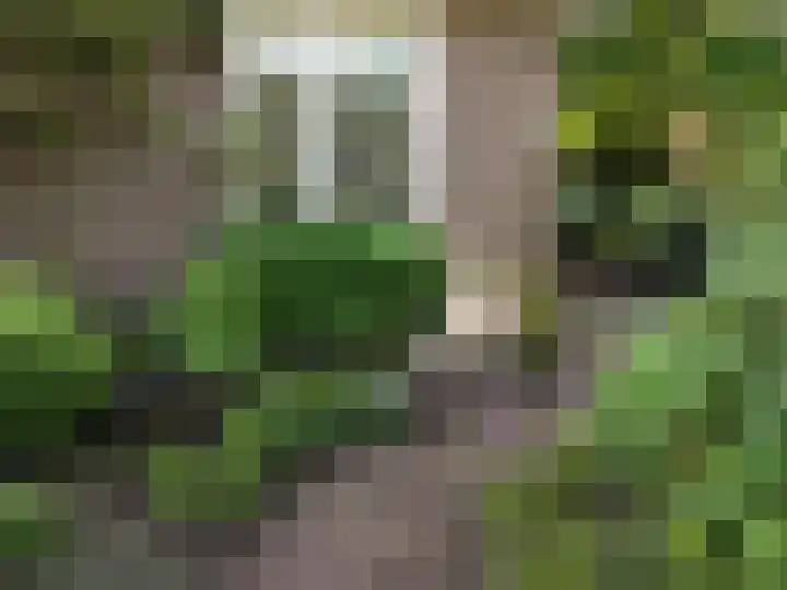 Koningslaan 21 A Bussum thumbnail 37
