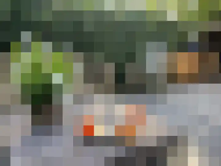 Koningslaan 21 A Bussum thumbnail 41