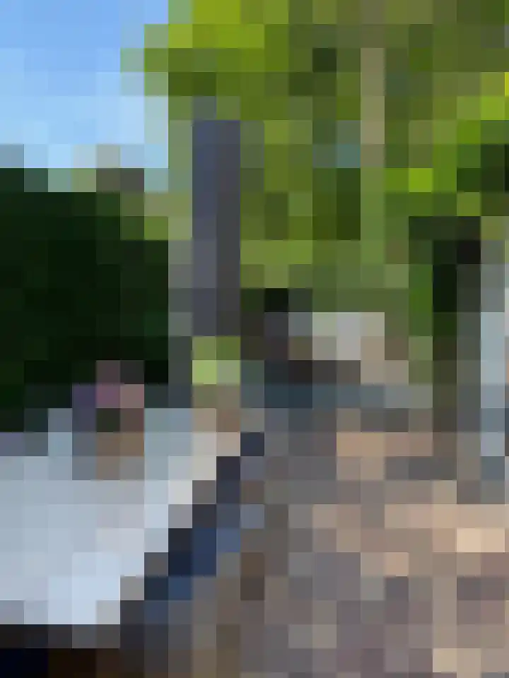 Koningslaan 21 A Bussum thumbnail 42