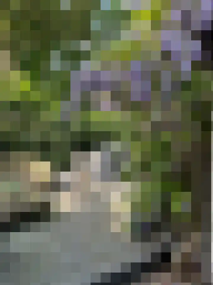Koningslaan 21 A Bussum thumbnail 43