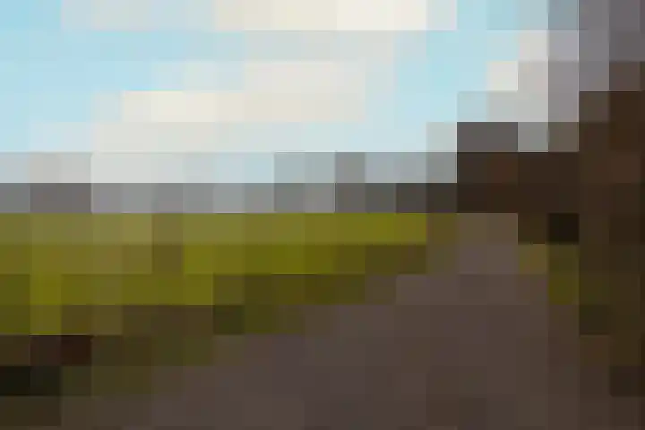 Koningslaan 21 Bunnik thumbnail 31