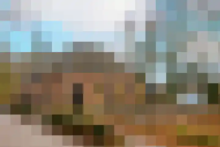 Koningslaan 21 Bunnik thumbnail 34