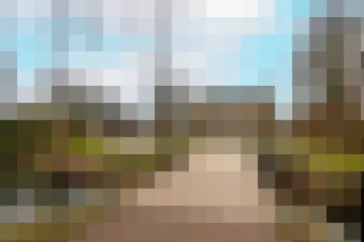 Koningslaan 21 Bunnik thumbnail 35