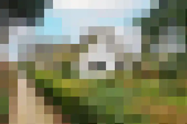 Koningslaan 21 Bunnik thumbnail 4