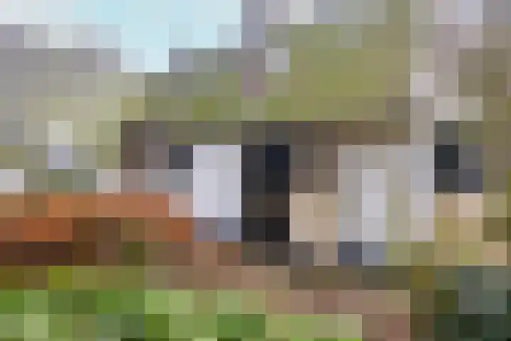 Koningslaan 21 Bunnik thumbnail 5