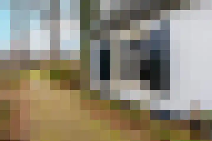 Koningslaan 21 Bunnik thumbnail 6