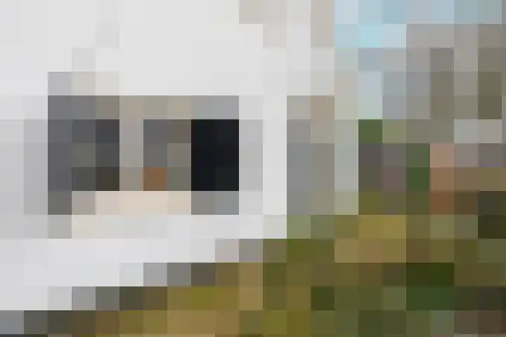 Koningslaan 21 Bunnik thumbnail 7