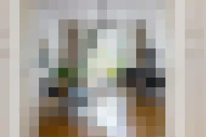 Koningslaan 21 Utrecht thumbnail 13