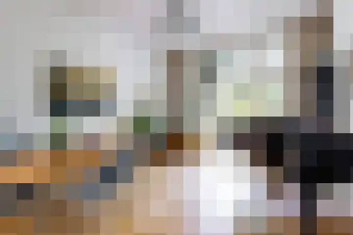 Koningslaan 21 Utrecht thumbnail 15