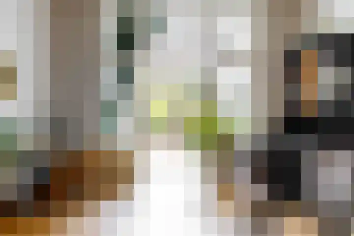 Koningslaan 21 Utrecht thumbnail 16