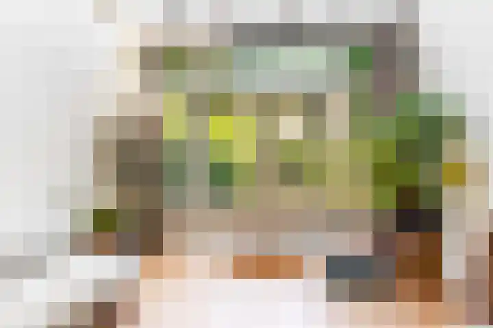 Koningslaan 21 Utrecht thumbnail 18