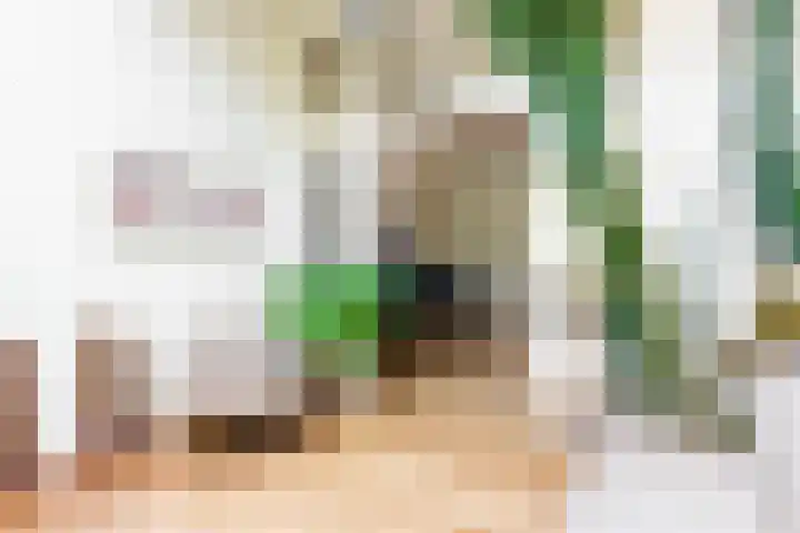 Koningslaan 21 Utrecht thumbnail 19