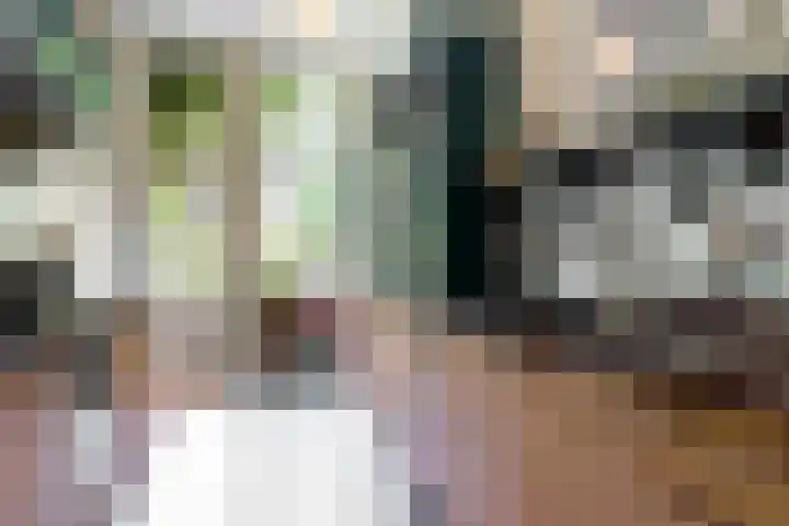 Koningslaan 21 Utrecht thumbnail 20