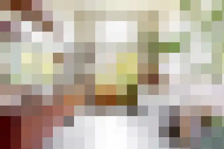 Koningslaan 21 Utrecht thumbnail 24