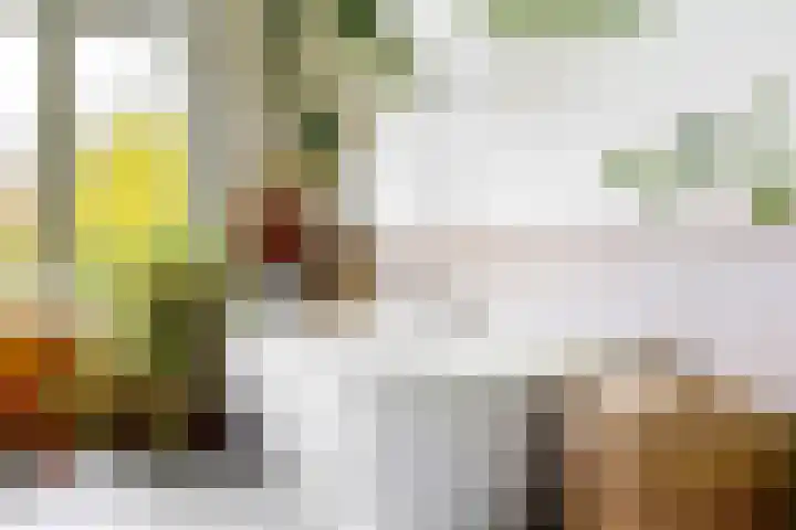 Koningslaan 21 Utrecht thumbnail 25