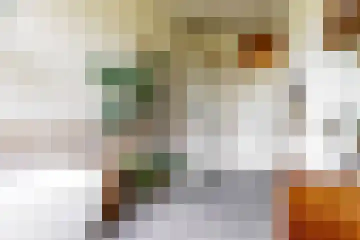 Koningslaan 21 Utrecht thumbnail 26