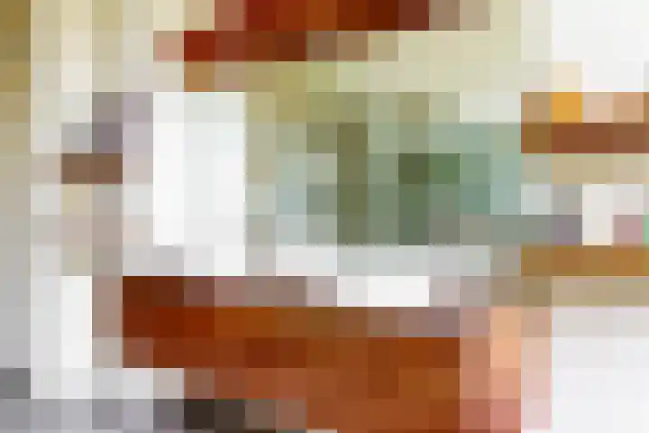 Koningslaan 21 Utrecht thumbnail 27