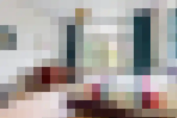 Koningslaan 21 Utrecht thumbnail 29