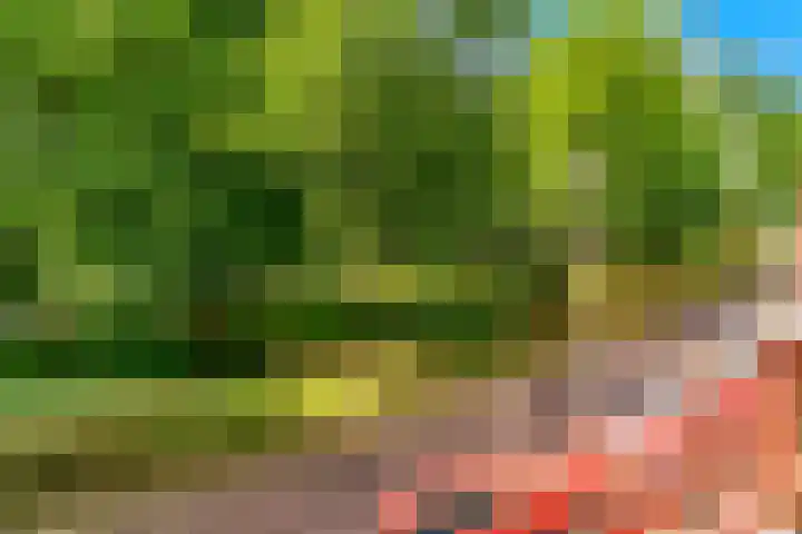 Koningslaan 21 Utrecht thumbnail 32