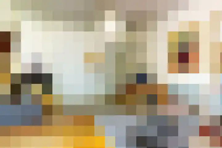 Koningslaan 21 Utrecht thumbnail 34