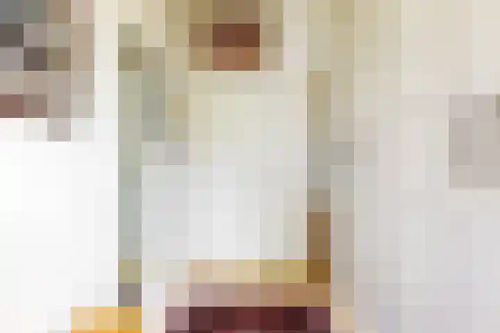 Koningslaan 21 Utrecht thumbnail 36