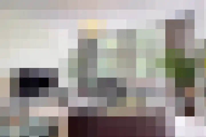 Koningslaan 21 Utrecht thumbnail 39