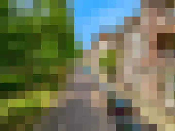 Koningslaan 21 Utrecht thumbnail 4