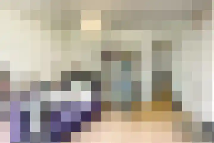 Koningslaan 21 Utrecht thumbnail 40
