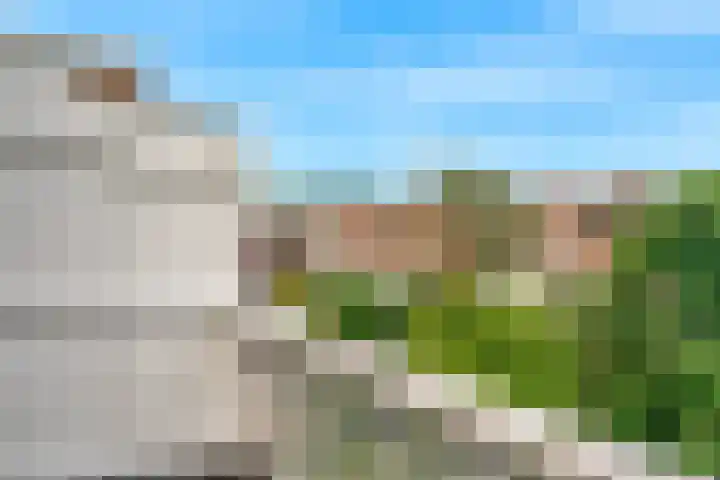 Koningslaan 21 Utrecht thumbnail 43