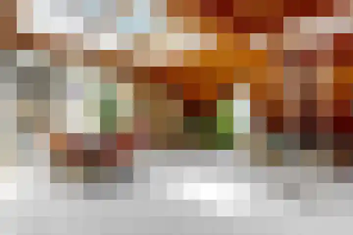 Koningslaan 21 Utrecht thumbnail 45