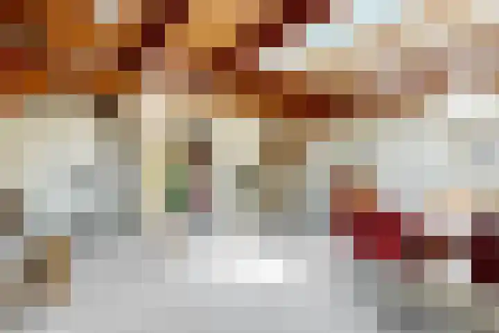 Koningslaan 21 Utrecht thumbnail 46