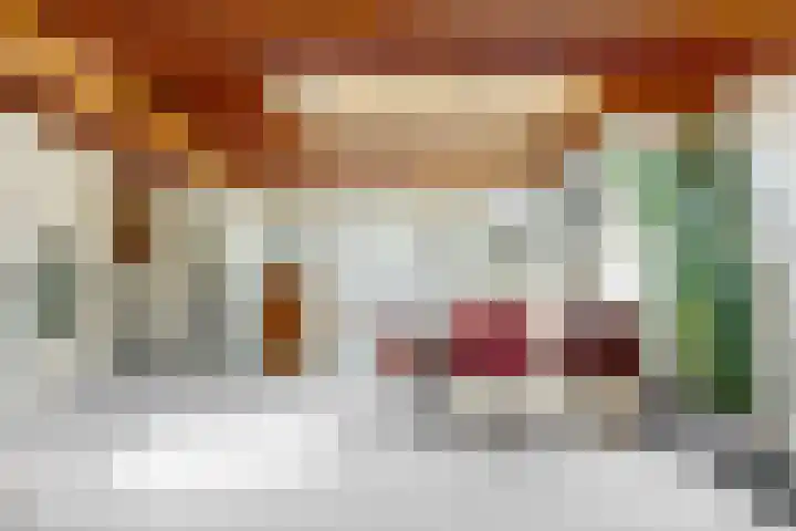 Koningslaan 21 Utrecht thumbnail 47