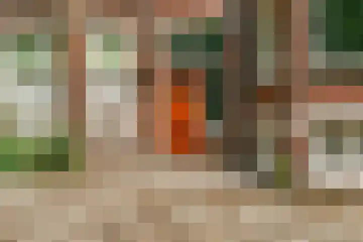 Koningslaan 21 Utrecht thumbnail 5