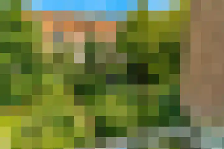 Koningslaan 21 Utrecht thumbnail 51