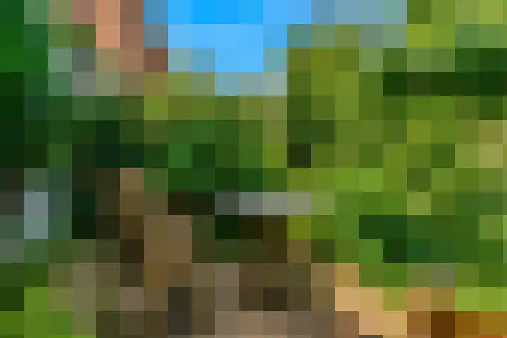 Koningslaan 21 Utrecht thumbnail 55