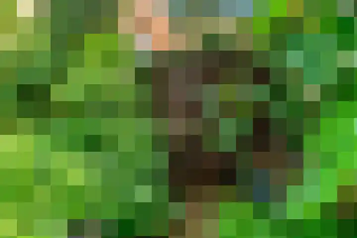 Koningslaan 21 Utrecht thumbnail 56