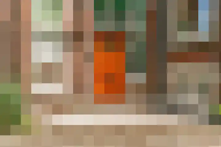 Koningslaan 21 Utrecht thumbnail 6