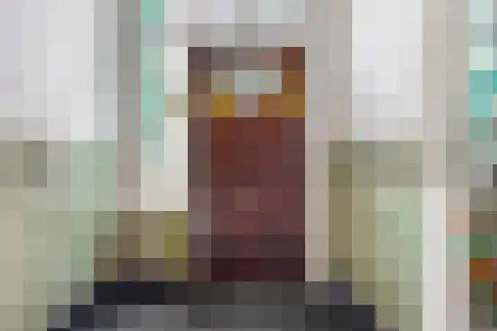 Koningslaan 21 Utrecht thumbnail 7