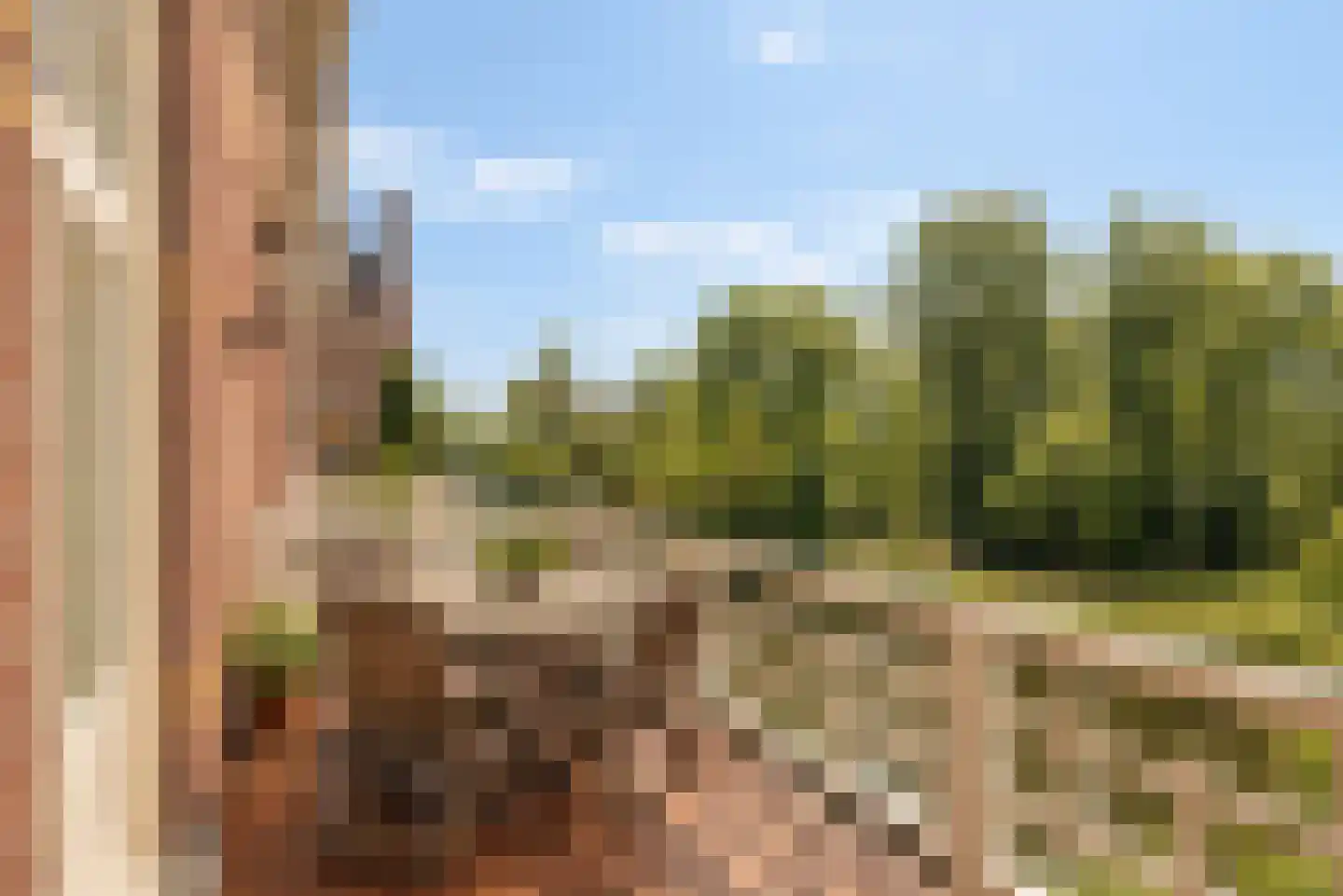 Koningslaan 22 A Amsterdam thumbnail 11