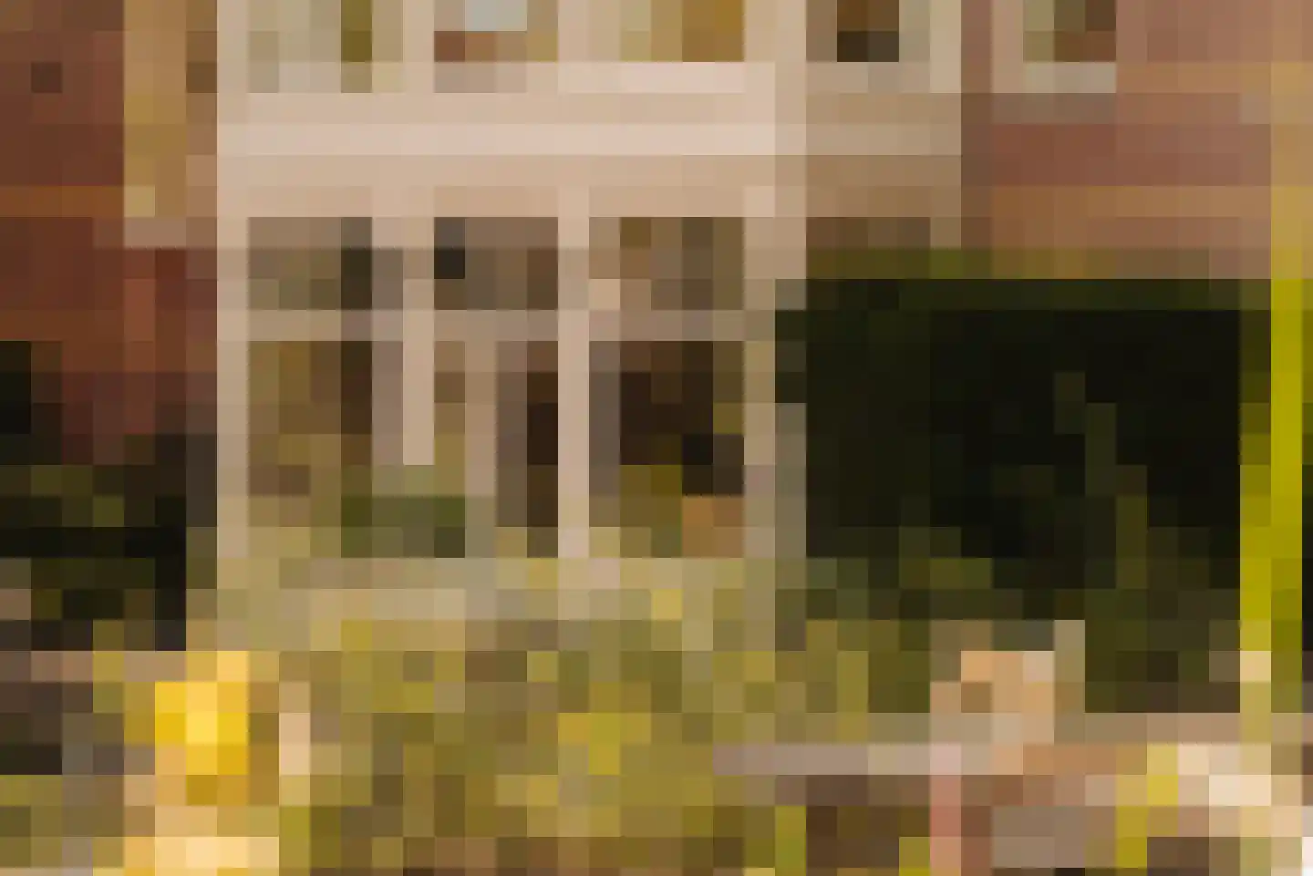 Koningslaan 22 A Amsterdam thumbnail 24