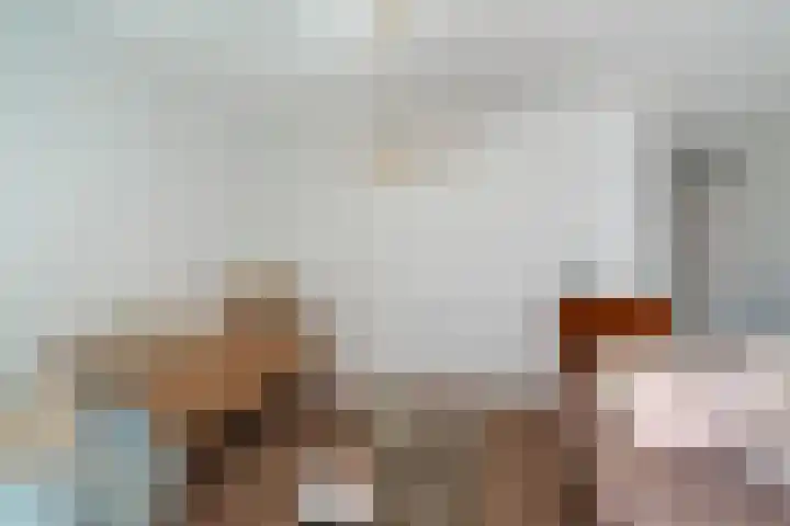 Koningslaan 229 Rotterdam thumbnail 11