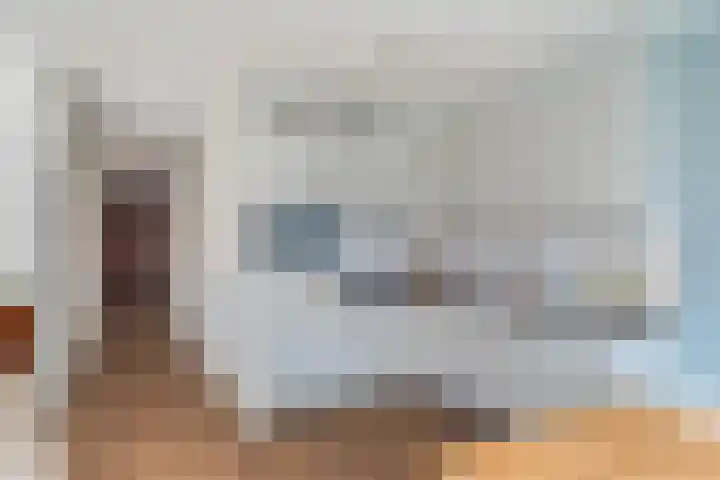 Koningslaan 229 Rotterdam thumbnail 16